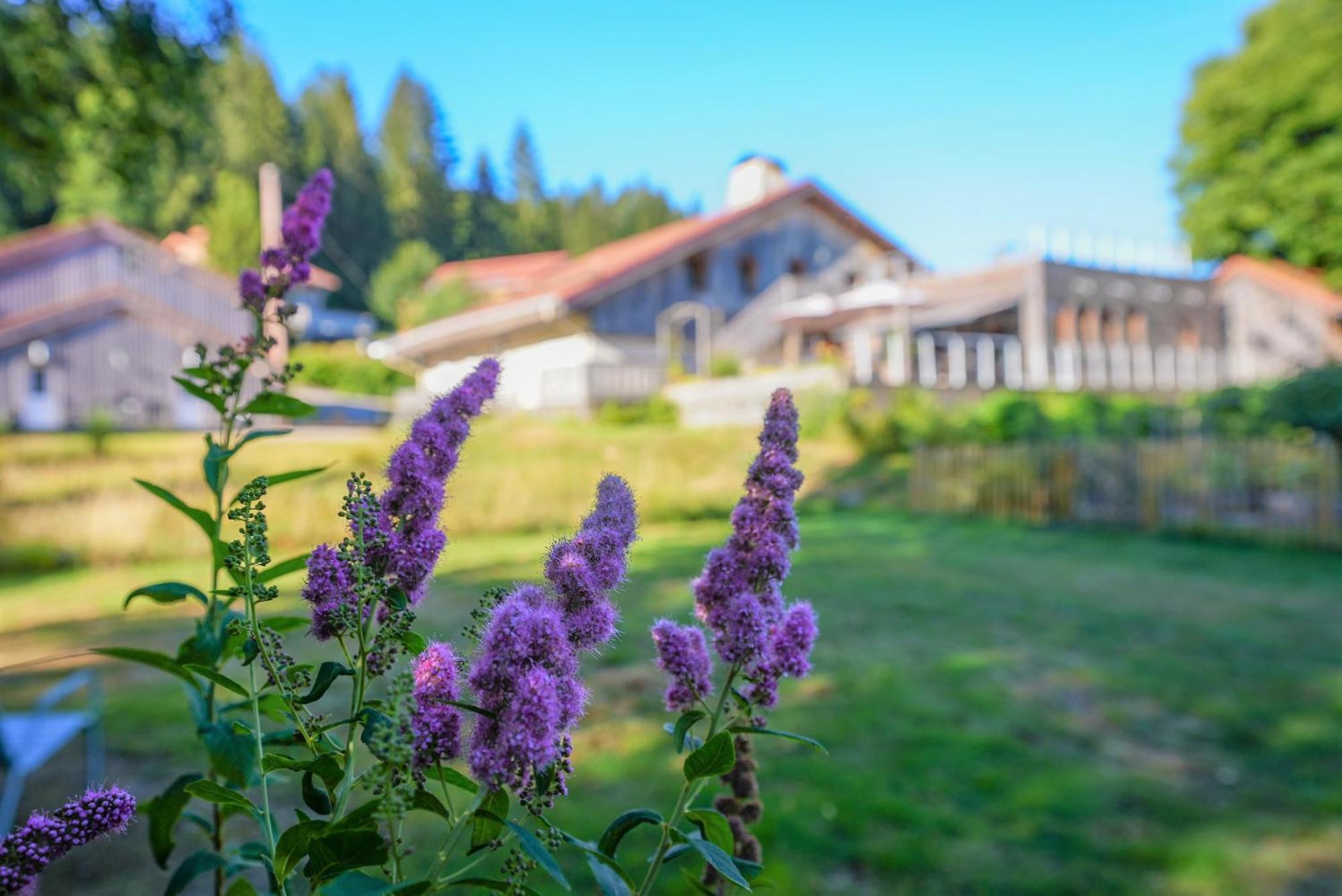 Auberge De La Poulciere Gérardmer Exterior foto